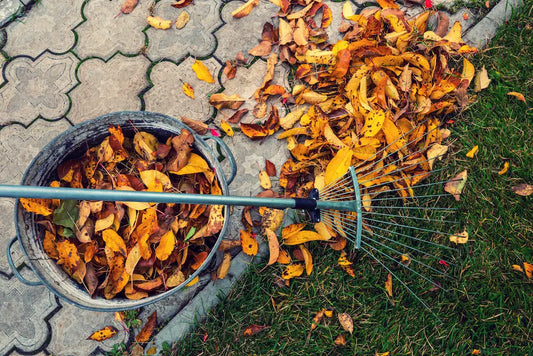 5 Fall Cleanup Tools You Can't Miss: Make Autumn Yard Work a Breeze!