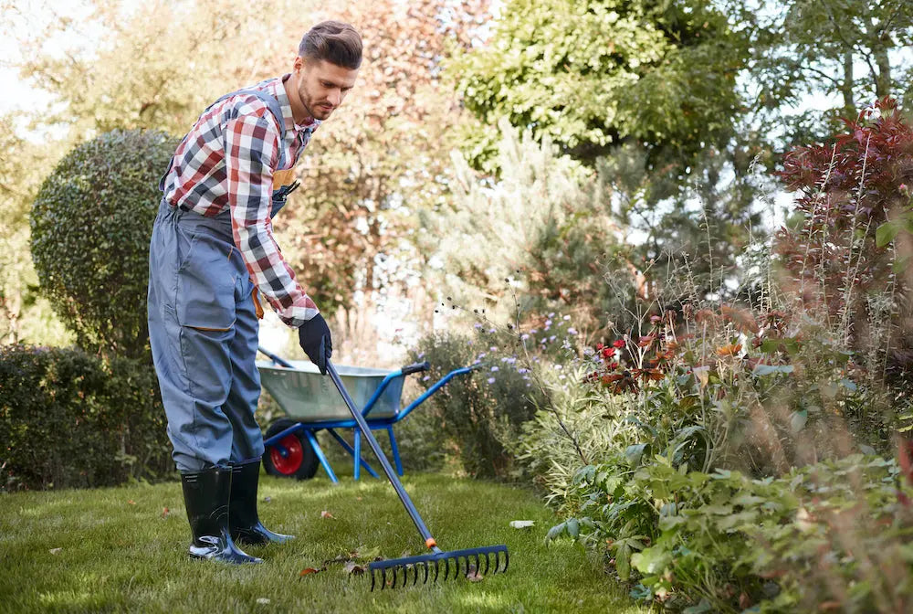 6 Budget-Friendly Rakes You Must Have for Fall Lawn and Yard Care