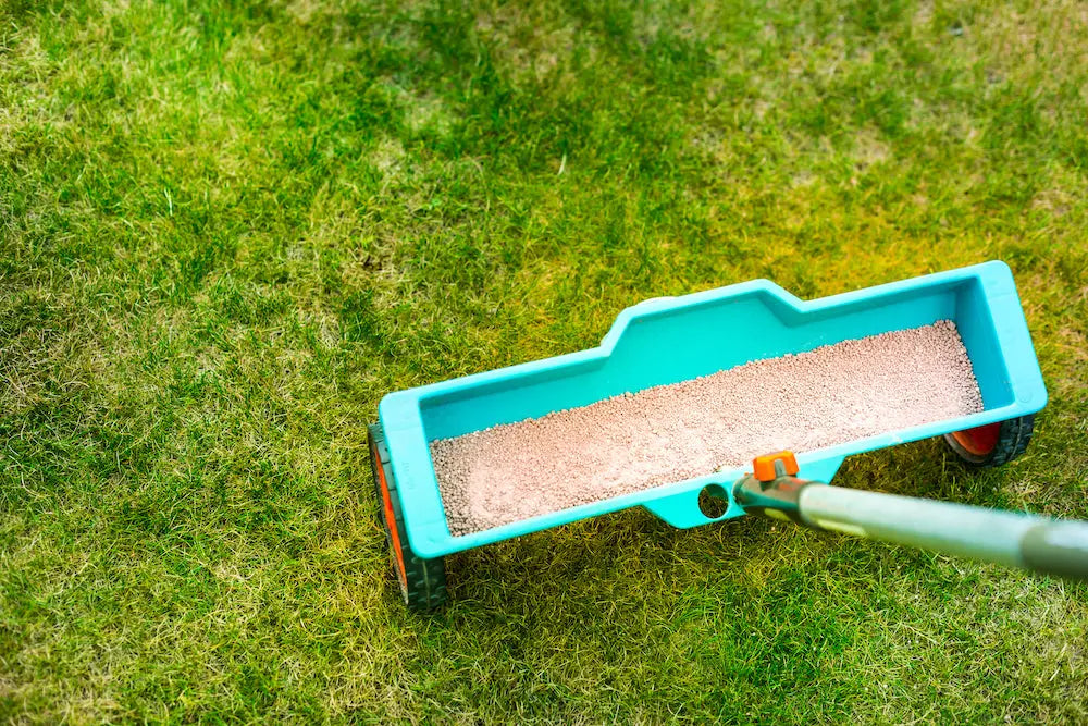 How to Perfectly Time Lawn Aeration, Overseeding, and Fertilization for a Lush Backyard Oasis