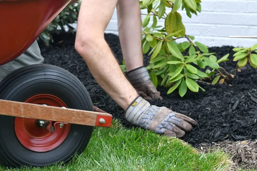 Mastering Mulch: Insights on Benefits, Costs, and Timing Your Purchase for Mulch Sales