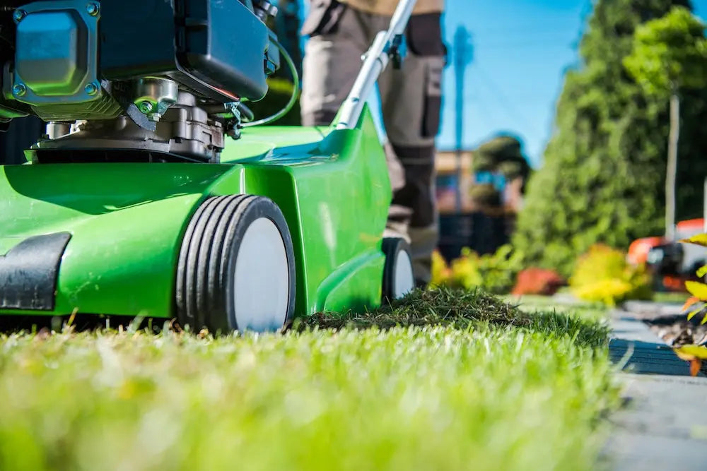 Maximizing Lawn Health: The Benefits and Practicalities of a Dethatcher Rental