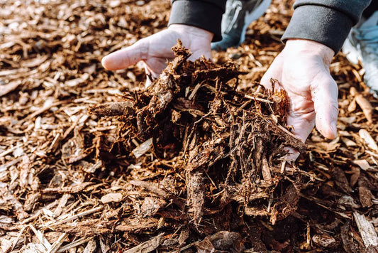 Mulch Glue: The Revolutionary Solution for Keeping Your Garden Tidy and Erosion-Free