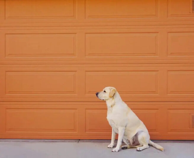 Mastering Garage Floor Cleaning Techniques in 5 Simple Steps